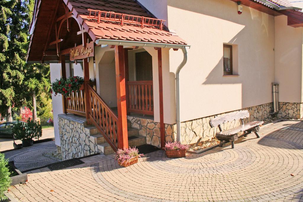 Willa Ostoja Swieradow-Zdroj Exterior photo